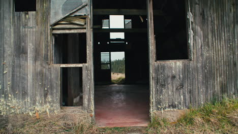 Abandoned-zinc-roofed-triangle-log-cabin-in-a-field-of-serrated-tussock-grass-and-caribbean-pine-trees-in-the-mountains-with-cloudy-sky