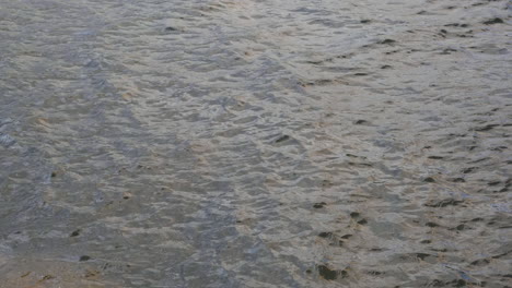 slow motion of the water waves in the sun