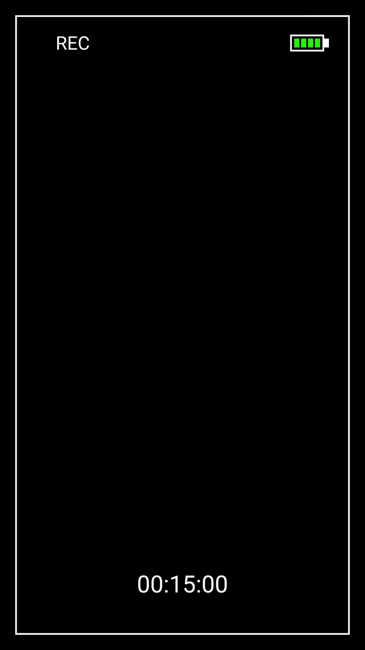 Digital Camera Recording Interface with Timer and Battery Indicator