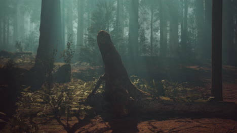 majestic sequoia tree stands tall amidst dense forest