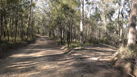 Imágenes-De-Mano-De-Senderos-Para-Cortafuegos-En-El-Parque-Nacional-De-Nerang,-Costa-Dorada,-Queensland,-Australia