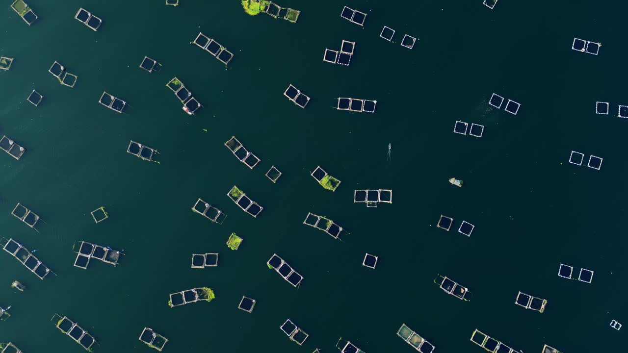 Langsom droneoptagelse af firkantede fiskedamme med bure midt i havet med små både i Agoncillo Laurel, Batangas, Filippinerne, i dagslys.