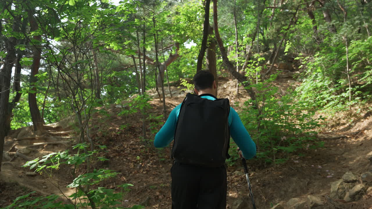 산악 하이커가 산 그린우드 숲에서 언덕을  ⁇ 고 있습니다.