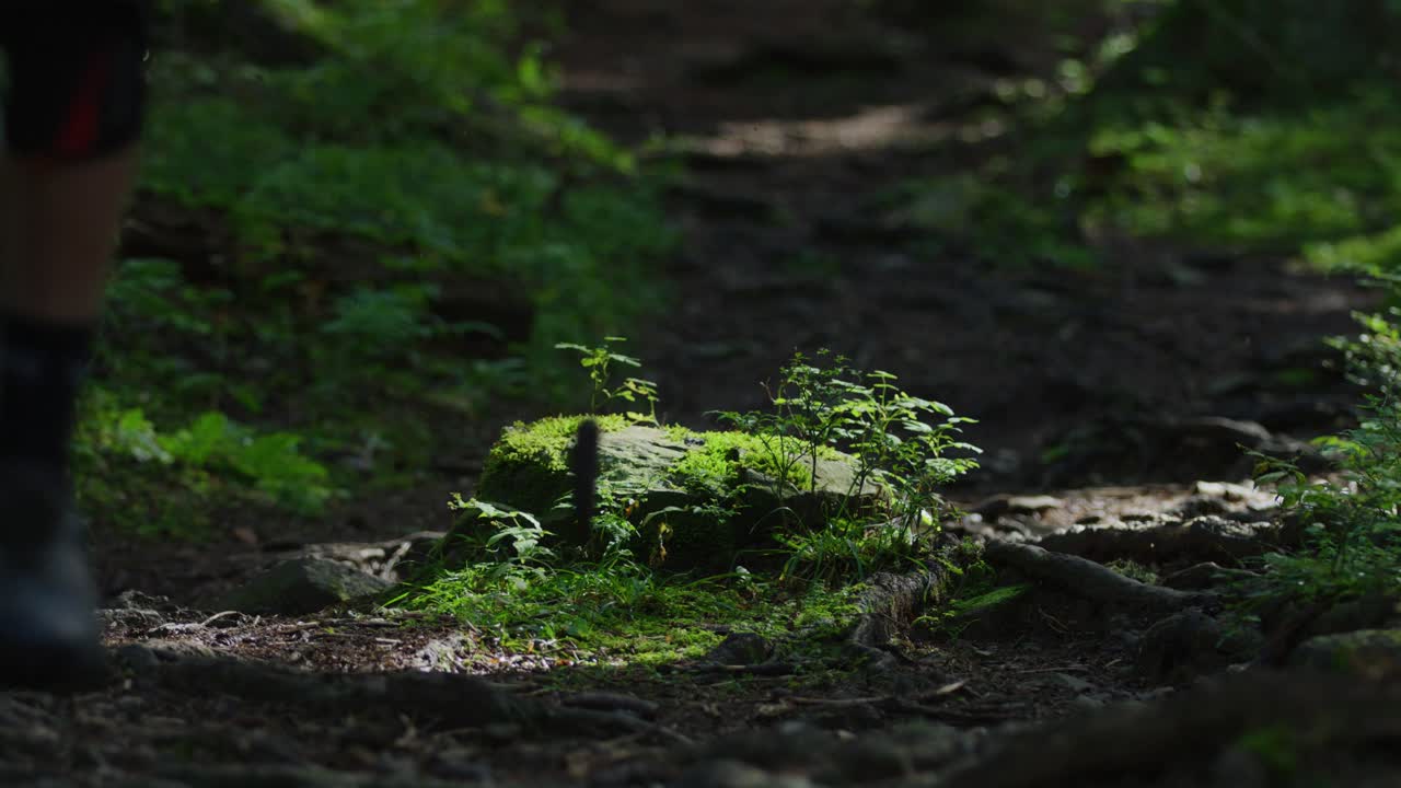 산악 자전거 타는 사람이 슬로우 모션으로 바위 위로 점프합니다.