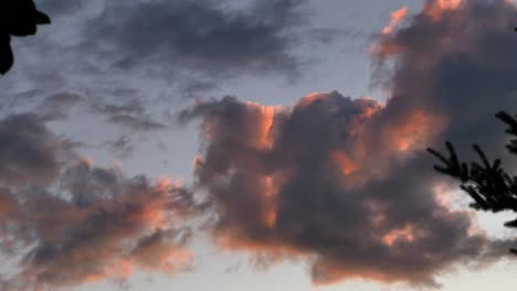 nubes de puesta de sol en el horizonte sobre el bosque