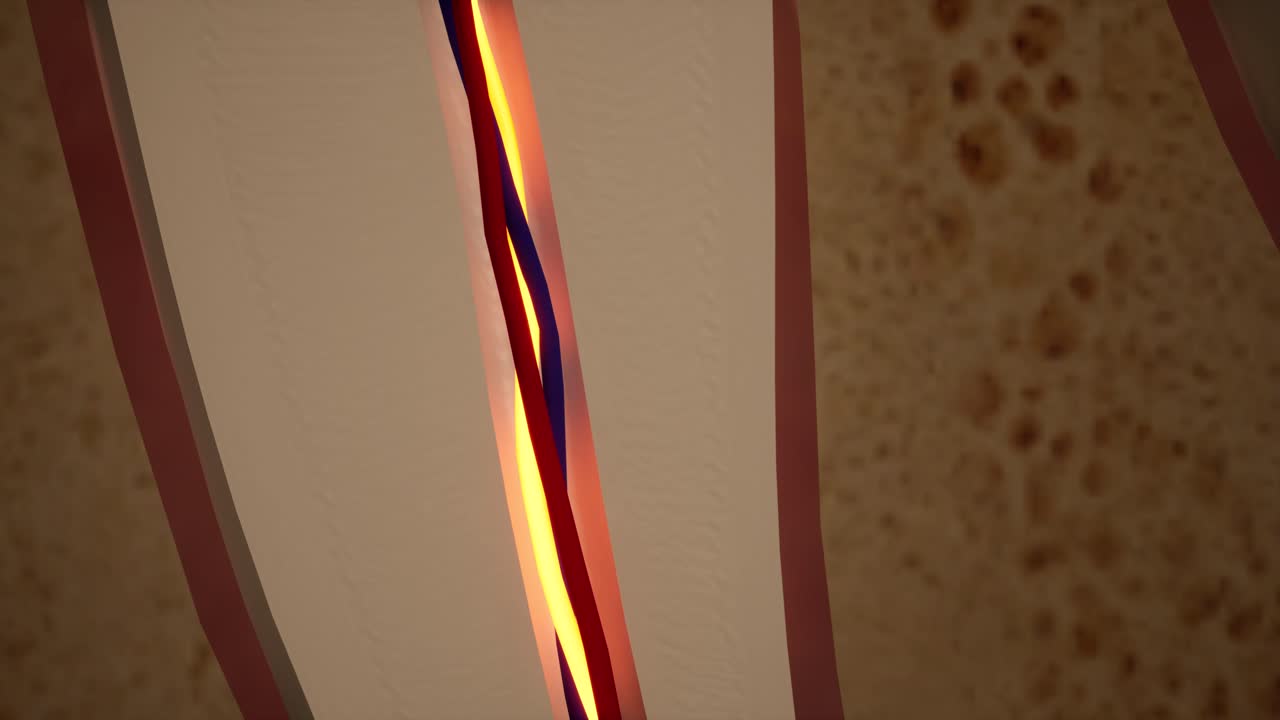 치아 통증: 치아의 해부학적 상세한 부분, 신경 염증, 3d 애니메이션