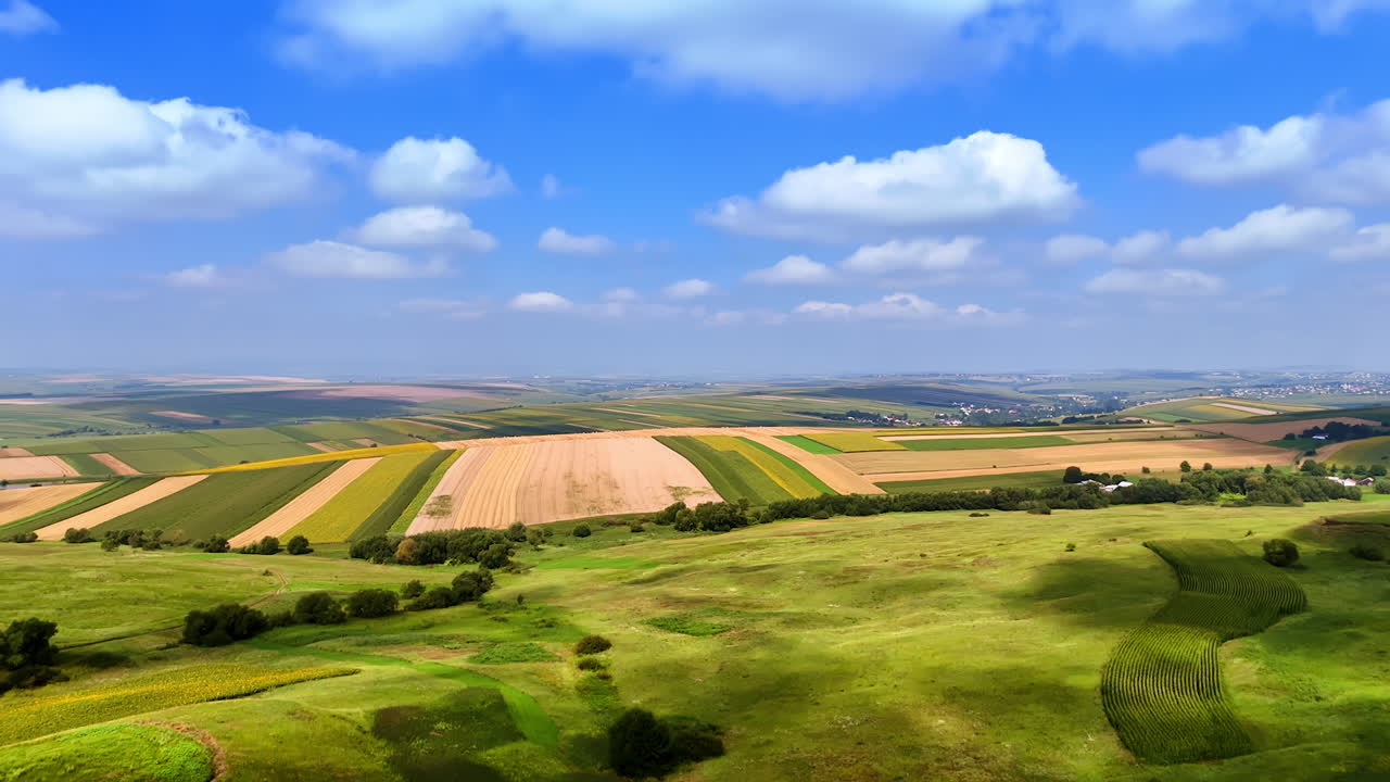 Wide fields beneath blue skies. Rolling fields stretch across the horizon, showcasing diverse crops under a sunny sky with scattered clouds