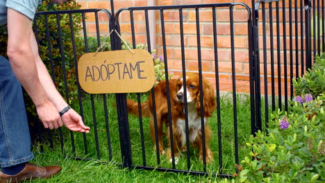 general shot of man adopting a dog