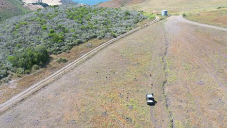 Antenne-Eines-Ranchers,-Der-Hunde-Für-Einen-Lauf-Hinter-ATV-Auf-Einer-Großen-Farm-In-Santa-Barbara-County,-Kalifornien,-Nimmt