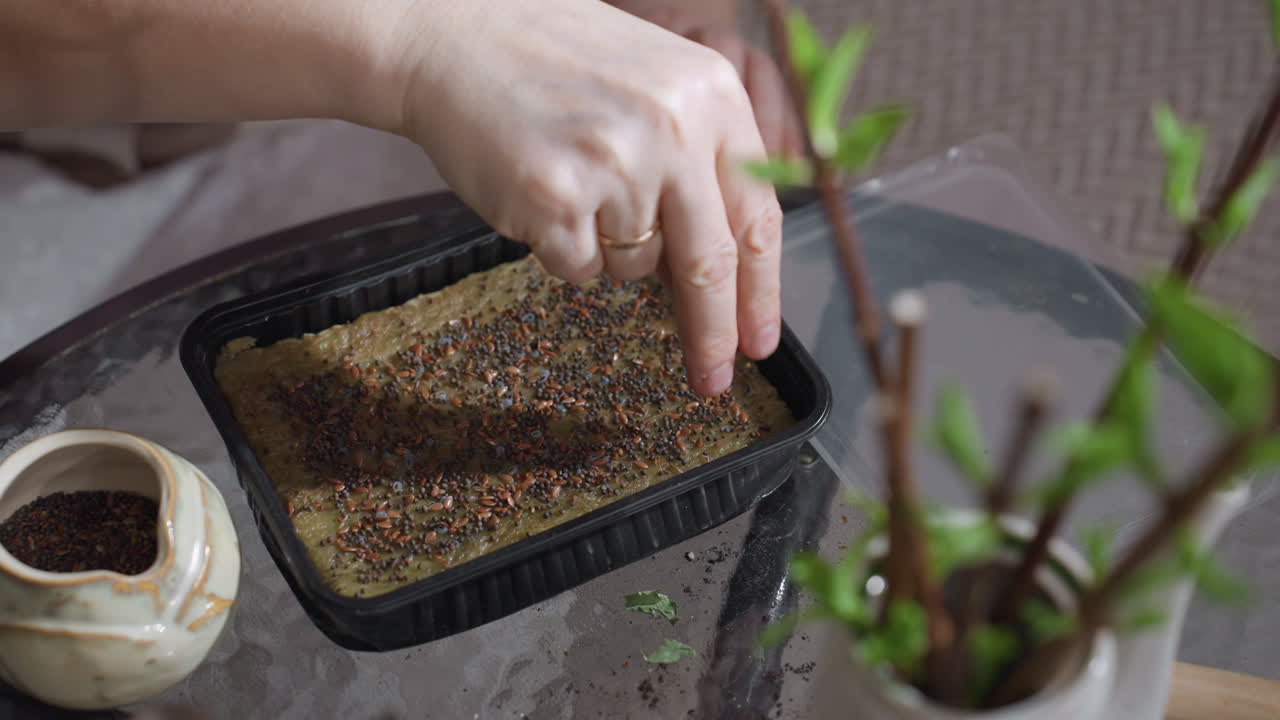 Homemaker sprinkling fine seeds onto moist growing medium in black tray from ceramic pot closing lid for indoor small sowing ritual promoting germination, growth and nurturing plant care