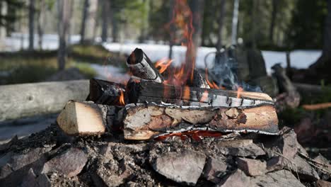 campfire slow motion close-up in sunny spring weather