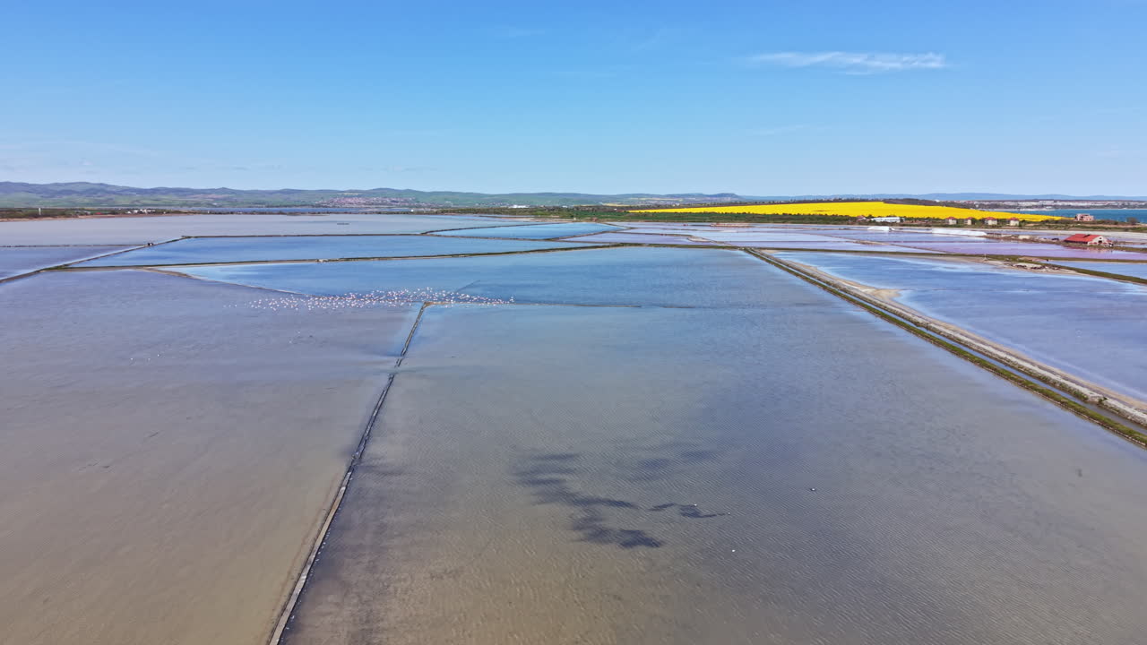 Aerial View of Salt Pans with Birds and Distant Yellow Fields