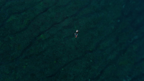 Eine-Drohne-Erhebt-Sich-Von-Oben-Nach-Unten-über-Einem-Surfer,-Der-über-Das-Spur-And-Groove-Reef-Bei-Cloudbreak,-Fidschi,-Paddelt