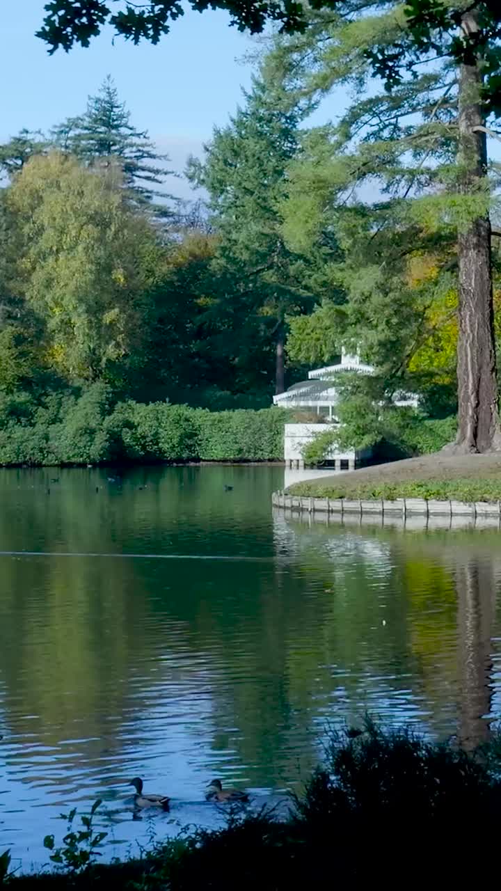 Lake with Gazebo and Reflections