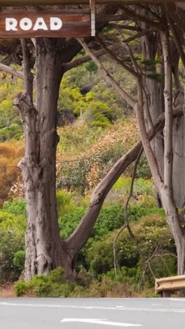 un coche viaja a lo largo de la pintoresca carretera del gran océano, rodeado de exuberante vegetación y paisajes icónicos, bajo la luz natural del día