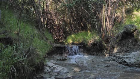 Pequeño-Bosque-Denso-Cascada-De-Spring-Creek-En-Plano-De-Lecho-Rocoso-Desnudo