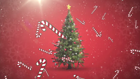 animation of snow falling and candy canes over chritmas tree on red backgrungd