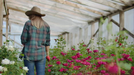 vista de atrás joven agricultora camina en un invernadero de flores y examina las rosas cultivadas negocio de flores