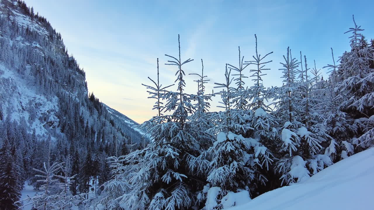 Výhled na Karpaty v zimě, Rumunsko. Holý les, kopce a hory pokryté sněhem