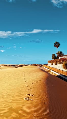 aerial view of golden sands and lush palms in gran canaria spain