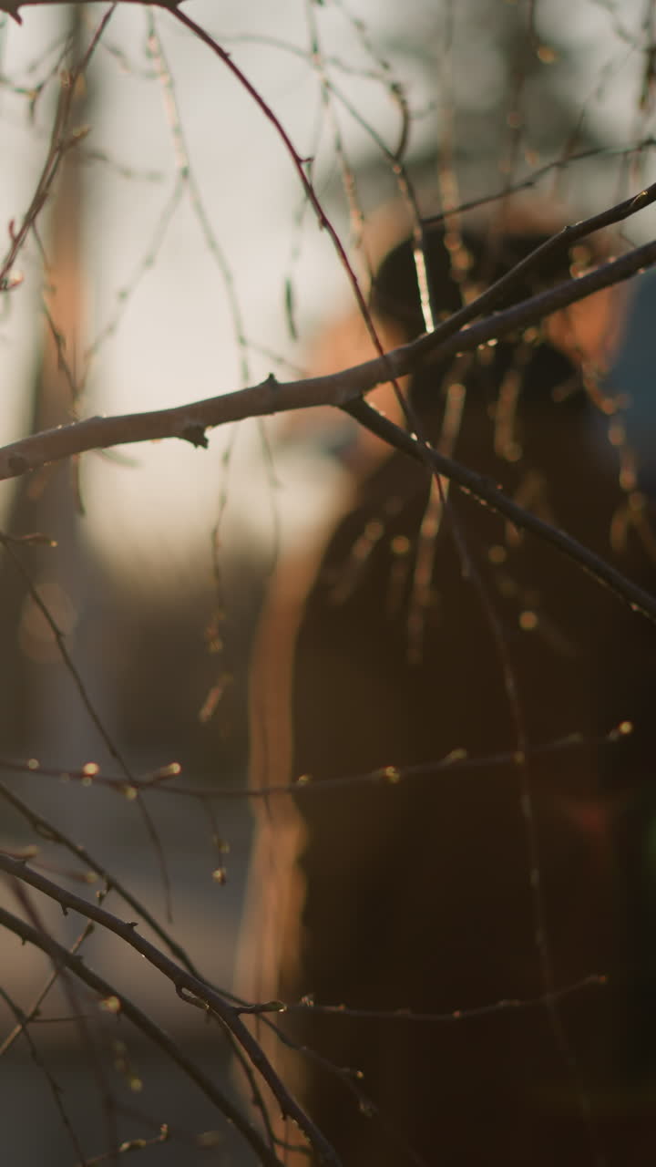 A sunny, blurred background frames a dry tree branch in the foreground, with a back shot of a woman wearing a brown coat, jeans, and white shoes, carrying a backpack as she walks through a park