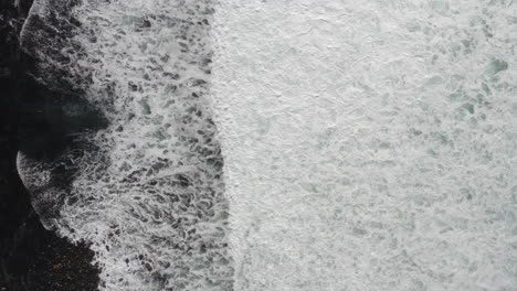 4K-overhead-of-waves-breaking-over-a-kelp-lagoon-with-harbor-seals-and-seagulls-far-below