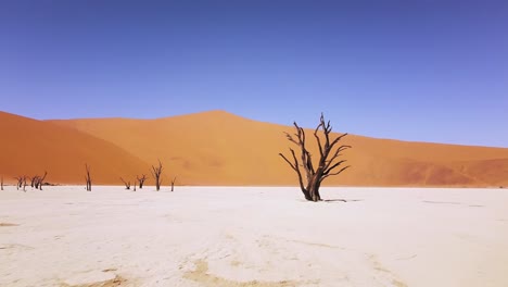 4K Drone Flying Through Dead Camel Thorn Trees in Deadvlei, near Sossusvlei, Namib-Naukluft Park, Namibia