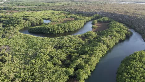 Aerial-view-overlooking-the-winding-Rio-Masacre-river,-in-sunny-Dominican-Republic