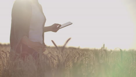 Close-up-of-a-woman-farmer-walking-with-a-tablet-in-a-field-with-rye-touches-the-spikelets-and-presses-her-finger-on-the-screen-vertical-Dolly-camera-movement.-The-camera-watches-the-hand.