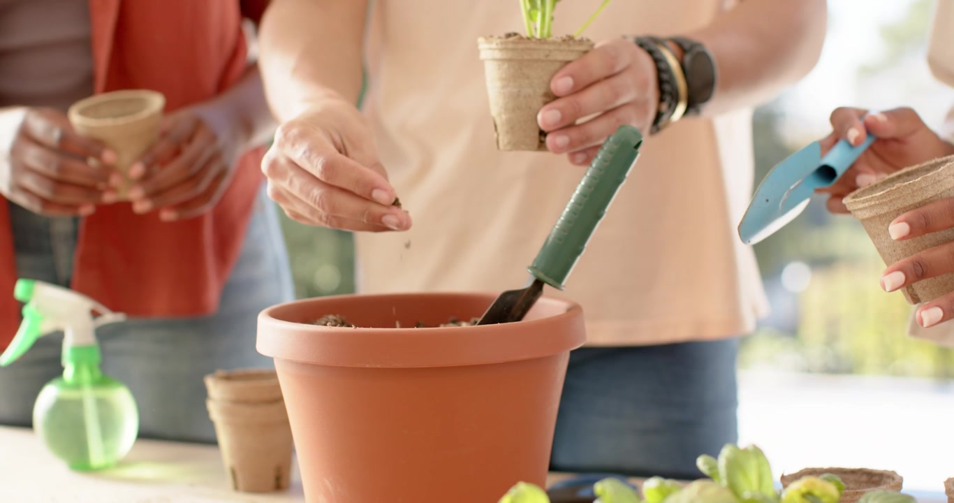 African American group seeing seedling tray on porch, filling clay pot, planting sprout with trowel