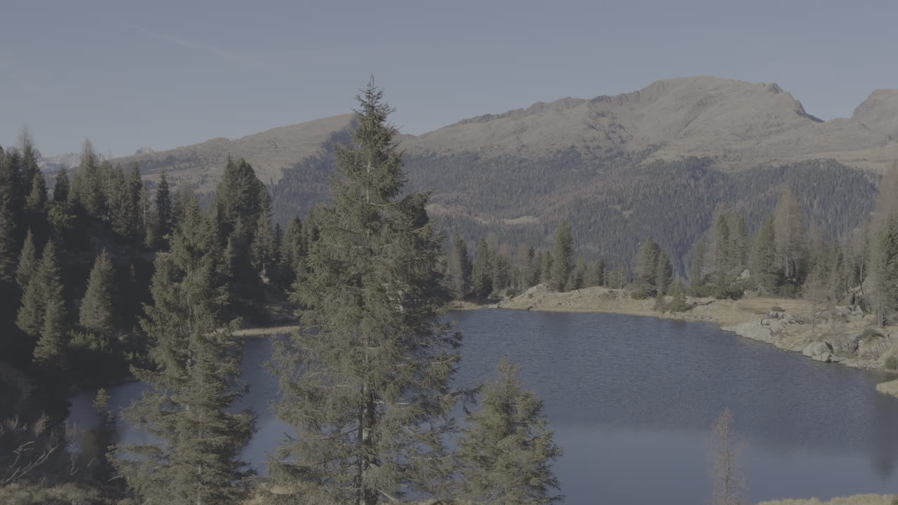 Mountain Lake surrounded by forest