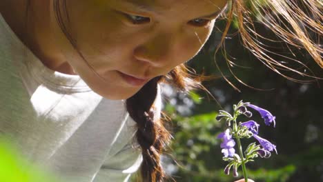 asan woman stares intently with curiousity at small purple flower blossoms, closeup