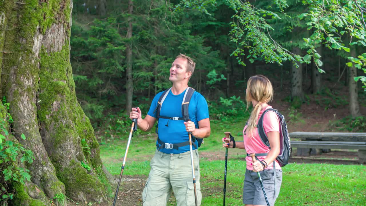 Couple stops to admire huge tree in clearing while hiking through park