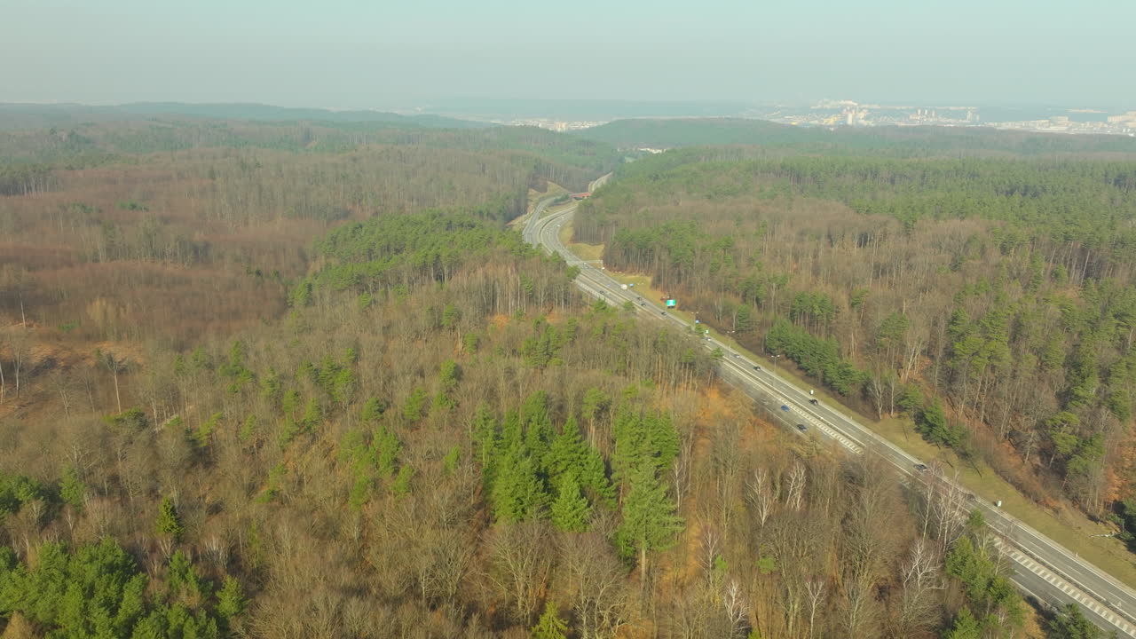 autopista ocupada con coches que conducen en ambas direcciones alrededor de la curva entre el dosel del bosque en polonia