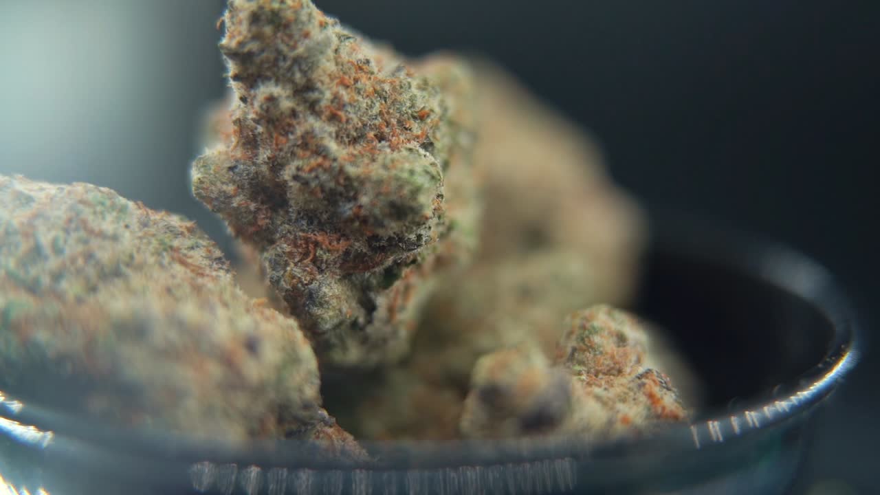 A macro close up tilt up crane smooth shot of a cannabis plant, marijuana flower, hybrid strains, Indica and sativa, on a 360 rotating stand in a black shiny bowl, 120 fps slow motion Full HD