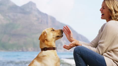 happy mature woman playing with dog on the beach