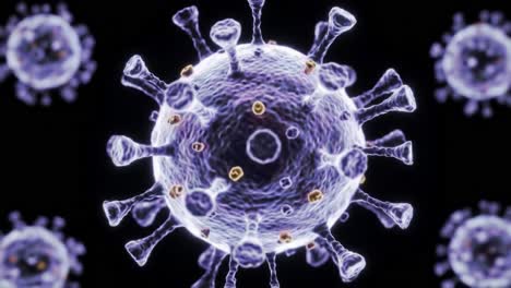 detailed visualization of a virus structure: this animation showcases the intricate design and features of a virus, highlighting its spiky surface and spherical form in stunning clarity.
