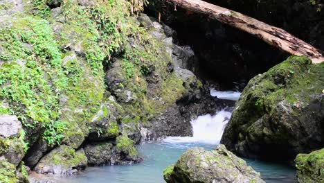 narrow turquoise creek flowing in between large mossy rocks in central american rainforest