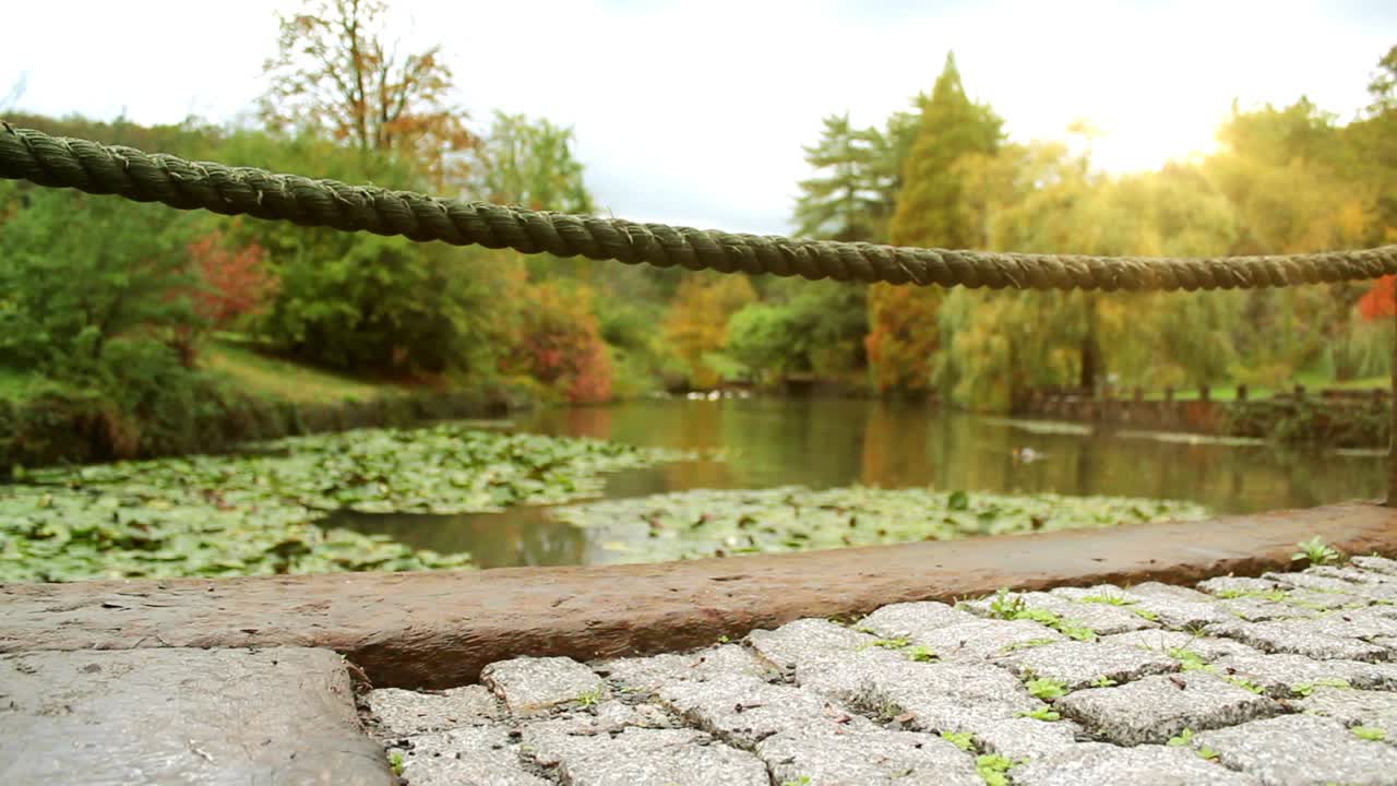 가을 호수 개념