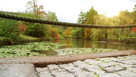 concepto de lago de otoño