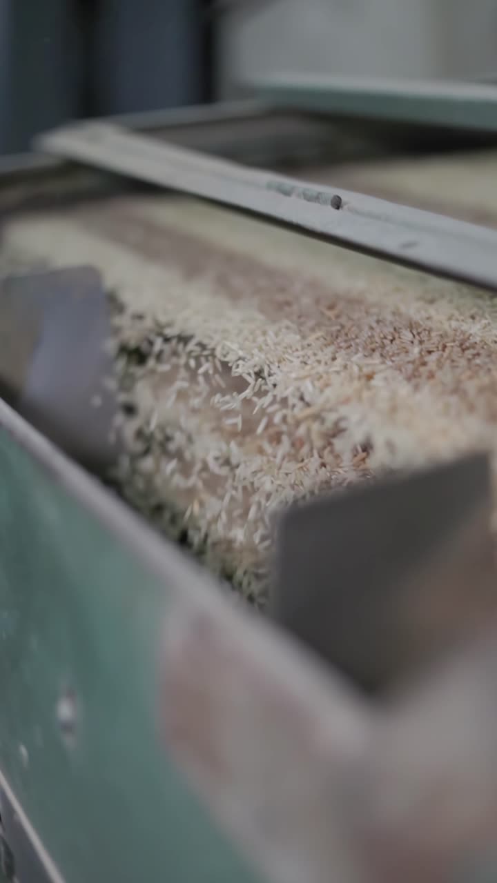 Slow-motion shot of a special machine that cleans freshly harvested rice