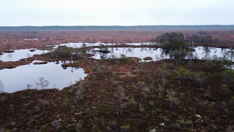 aerial birdseye view of dunika peat bog with small ponds in overcast autumn day, wide drone shot moving forward