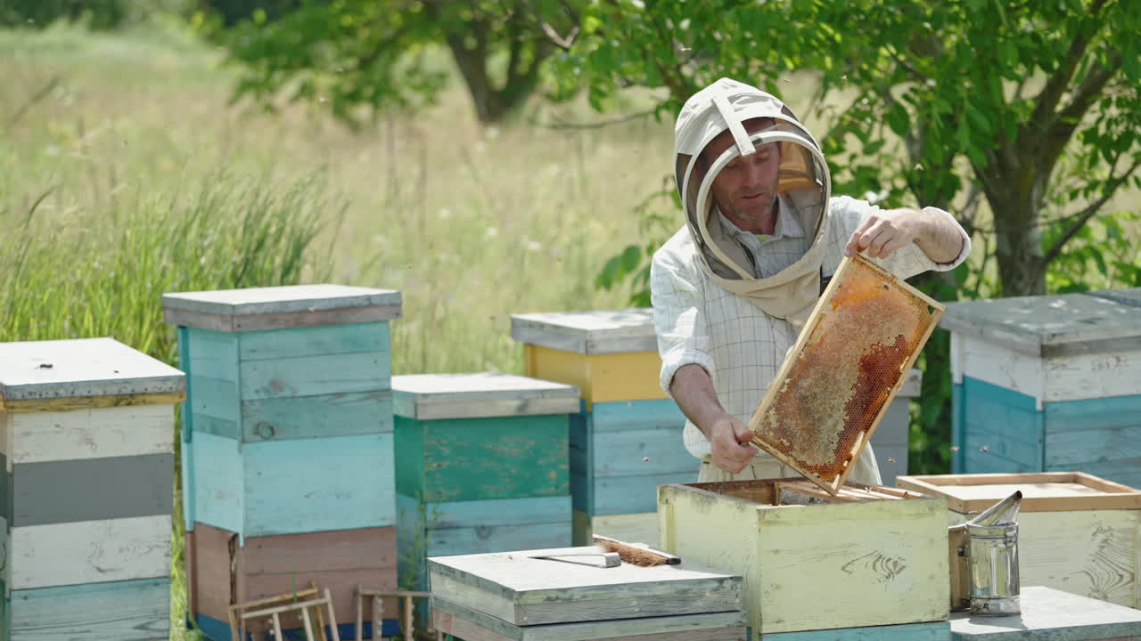 Frame of honeycombs ready for harvesting. Beekeeper is happy and satisfied with his harvest. Nature backdrop.