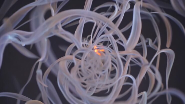 Abstract Smoke Swirl