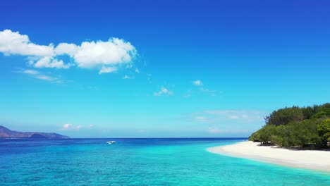 abstract beach background,white sand exotic trees and bushes, turquoise clear seawater