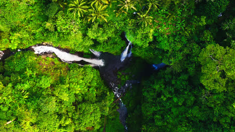 Lush-rainforest-cliff-with-Fiji-waterfalls-falling-to-water-pool,-Bali