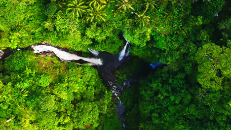 el exuberante acantilado de la selva tropical con las cascadas de fiji cayendo a la piscina de agua, bali