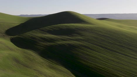 Italy-green-field-with-sunsetting-shadows-aerial-pull-back