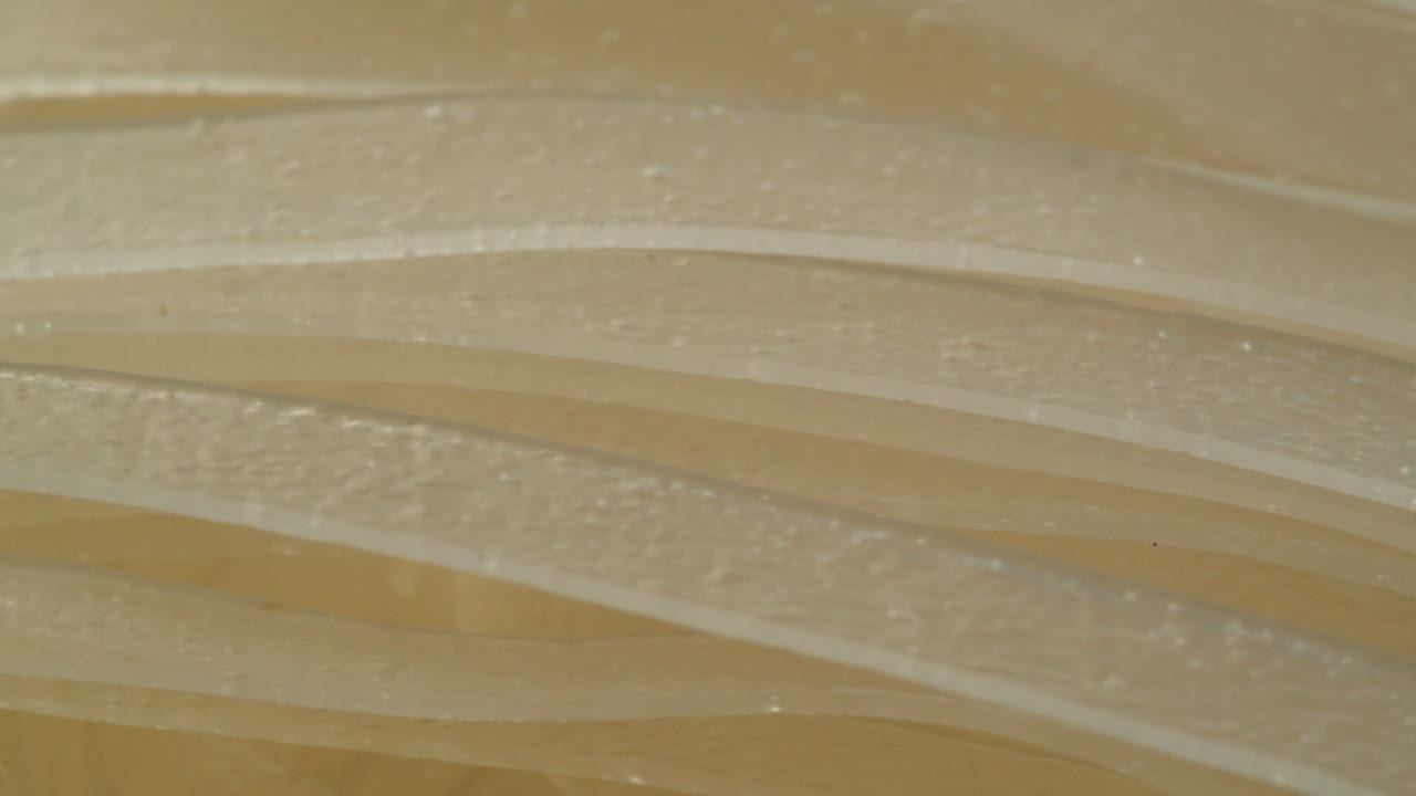 Close-up of Raw Rice Noodles