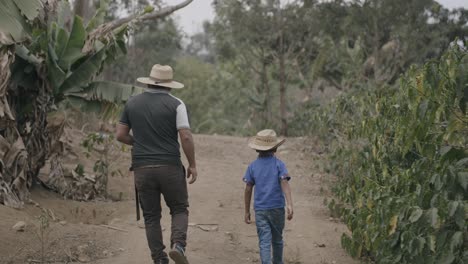 Agricultor-Y-Su-Hijo-Caminando-Por-Una-Plantación-De-Café